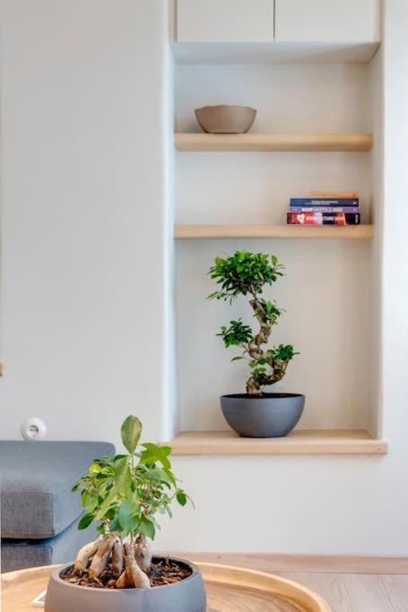Nomade Vibrant Living Loft Apartman Ermúpoli Kültér fotó